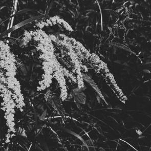 ����: ��������