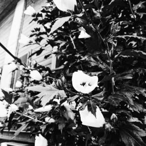 ����: ����� � �������