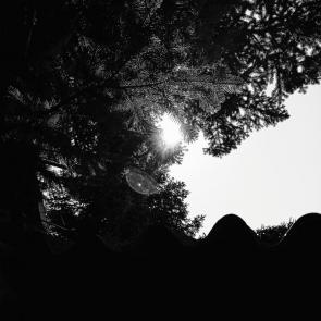 ����: ���� � ���