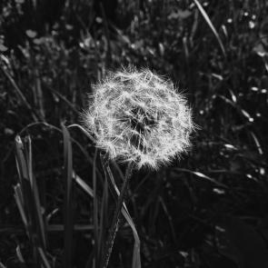 ����: ���������