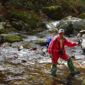 ����: ����� ������