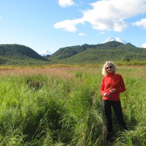 ����: ����������� ������