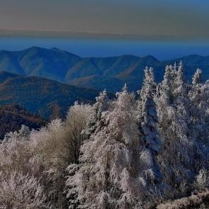 ����: ���� ������� ����� ��������