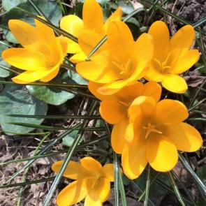 ����: ������ �����������