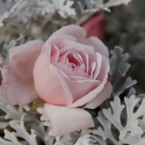 ����: � ���� ����