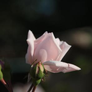 ����: ���������� ���� � ����