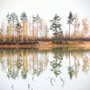 Фото: Пульс осени