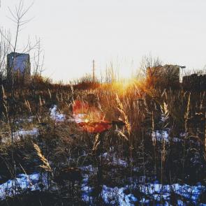 Фото: Отблеск дня 