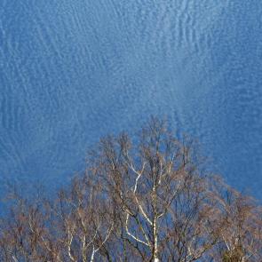 ����: ���������� ����