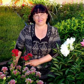 ����: � �������� 