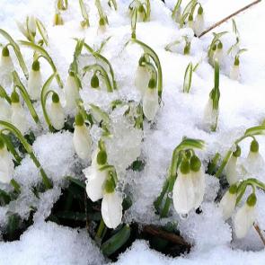 ����: ���� �� ��������� �������