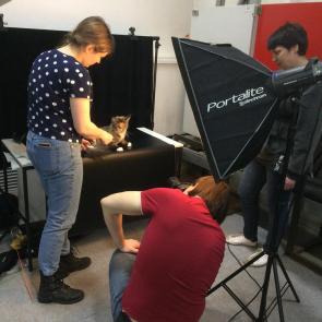 ����: ����������