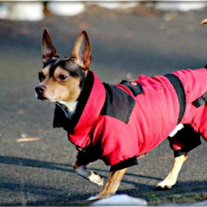 ����: �����