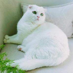 ����: ����� �� ����� � ����� ��������