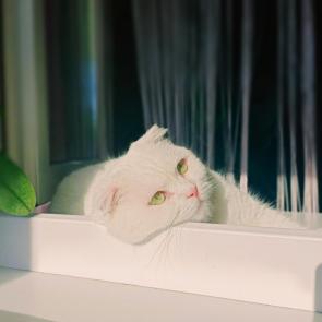 ����: ����� ���������