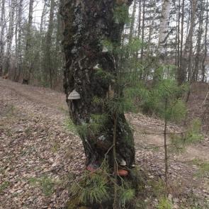 ����: �� ��������