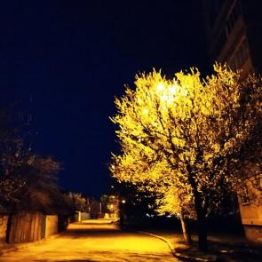 Фото: Ночной огонёк