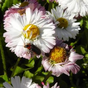 ����: �� ������