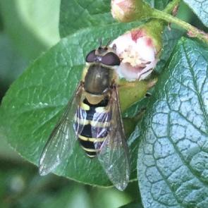 ����: ��������� ����