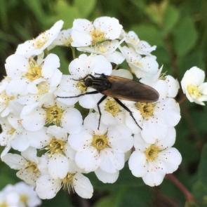 ����: ���