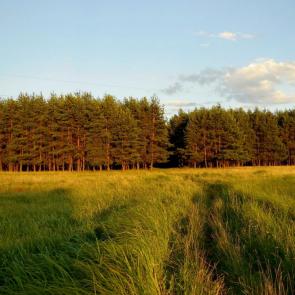 ����: � ����� � ������