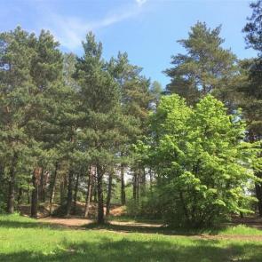 ����: ��� ����������