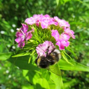 ����: �������� � �����