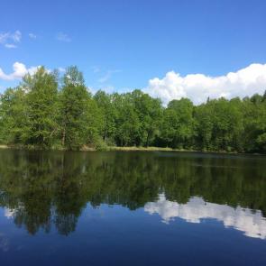 ����: ��������� � �����