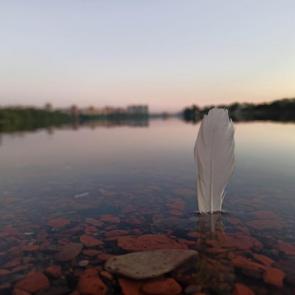 Фото: Штиль
