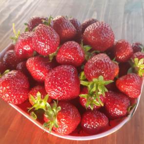 ����: ���������� ������ 2020