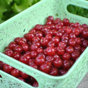 ����: ���� ��� ������� ����� 