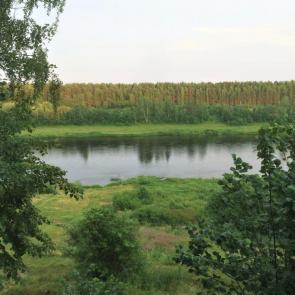 ����: ��� �� �����