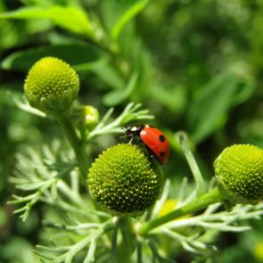 ����: ��������� ������