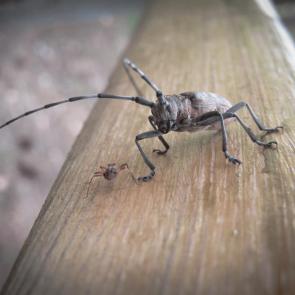 ����: ����� � �����