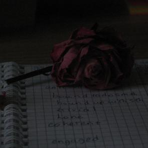 : rose