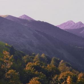 ����: ������ �������