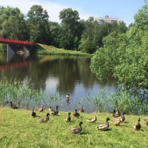 ����: ���� �� ����������