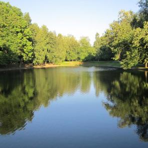 ����: ������ �����