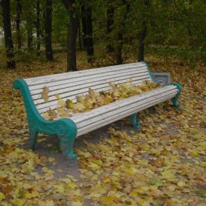 Фото: осенние листья