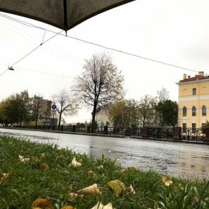 Фото: Под дождем