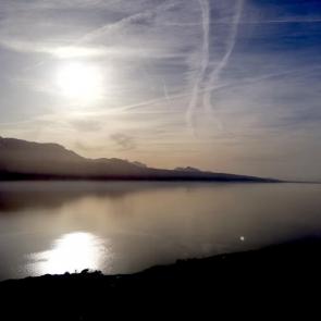 ����: ������