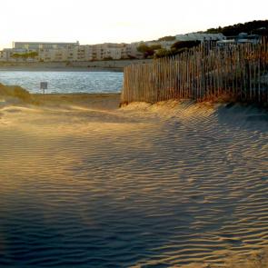 ����: ������ � ����