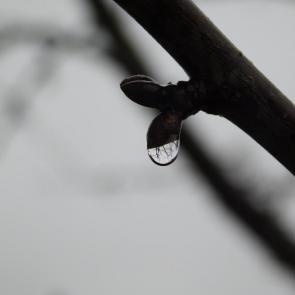 Фото: 