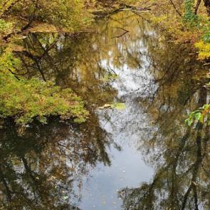 ����: ���� ������ 