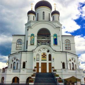 ����: ������