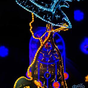 ����: ���������� ��������� ����������� �������