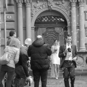 ����: ���������� ����