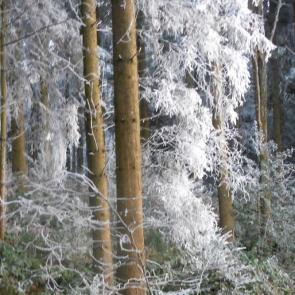 ����: ��� ������ �����