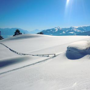 ����: ��� ����� ������