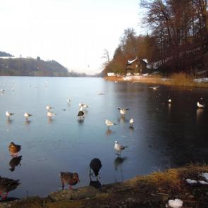 ����: ������ ������� �� ��� ������ �����